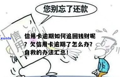 信用卡逾期怎么反击自己：解决欠款和追回资金的有效策略