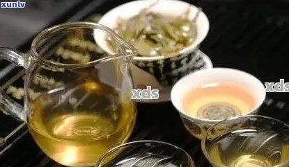 普洱茶冲泡指南：如何选择壶型以获得口感？