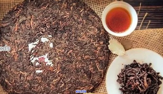 深普洱茶品质如何？选购指南与口感评价，让你全面了解这款茶的优缺点