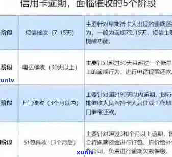 信用卡逾期罚息上涨规律解析：如何应对、降低损失并避免逾期？