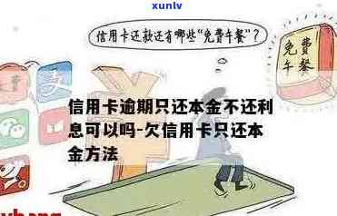 信用卡逾期还款问题解决 *** 与建议：不还本金如何应对？