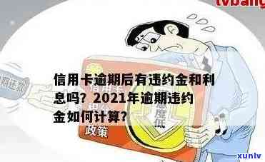 2021年信用卡逾期违约金：全面解析与最新标准