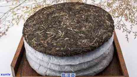 新普洱茶饼价格指南：整件、散茶与片状茶叶的区别与价值分析