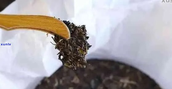 普洱茶的脏外表：揭秘其深藏不露的品质秘密