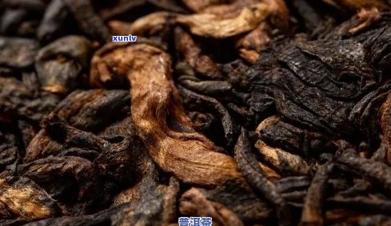 普洱茶的脏外表：揭秘其深藏不露的品质秘密