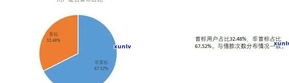 XXXX年招商信用卡逾期还款全攻略：原因、影响、解决方案及应对措一文详解