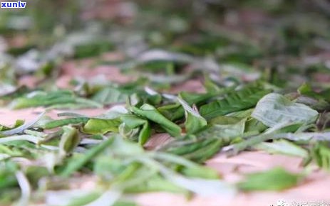 普洱茶包心的颜色和 *** 材料：深入解析普洱茶的构成