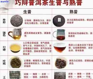 云南版比腊告普洱茶：品种特点、 *** 工艺及品鉴 *** 一应俱全的全面指南