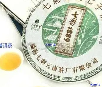 云南七彩普洱茶品鉴指南：价格、品质、选购技巧一应俱全