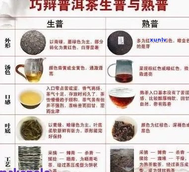 新探究普洱茶中的特殊水味及其产生原因