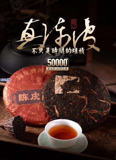 同顺祥号陈皮普洱茶