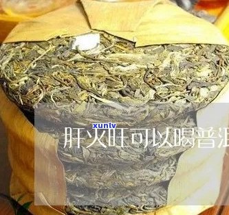 肝火能和普洱茶吗