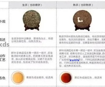 全面了解小青干普洱茶的价格、品质与选购指南：一个新视角