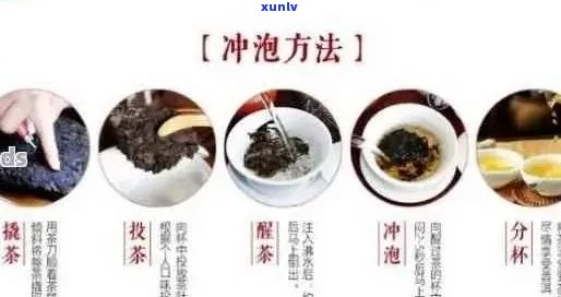 普洱茶的泡法与次数：一次冲泡、三次品味的体验