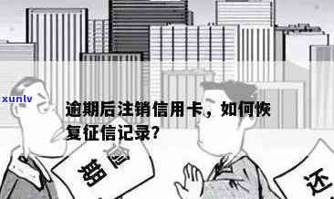 逾期后注销信用卡，重塑信用征程的步骤与建议