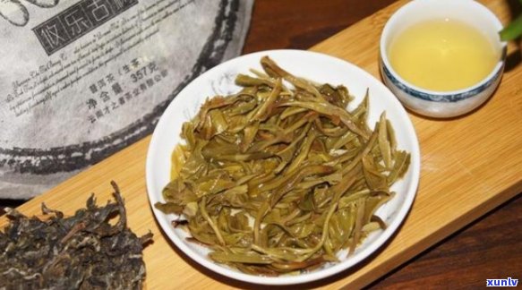 沧源地区最知名的普洱茶品种及其特点解析：一篇文章带你了解所有信息