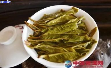 普洱茶春茶怎么做好喝？