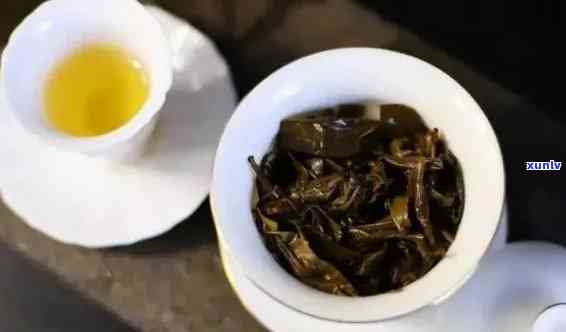 勐普洱茶：醇厚口感与独特风味的完美结合