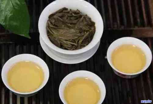 勐普洱茶：醇厚口感与独特风味的完美结合