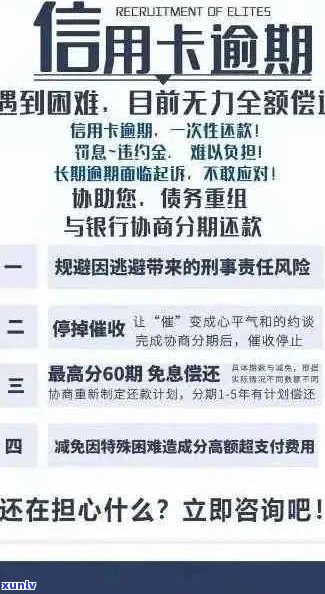 普洱茶的冲泡 *** ：煮、泡还是其他？如何选择最适合自己口味的冲泡方式？