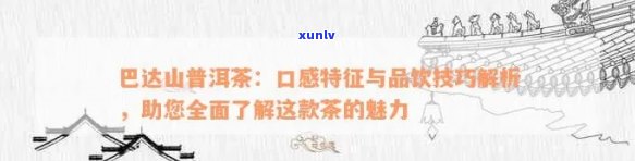 巴达山普洱茶：口感特点、品鉴 *** 与适合的饮用场景一文解析