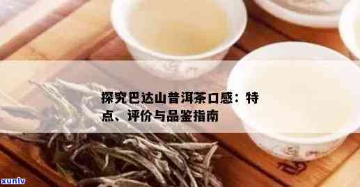 巴达山普洱茶不受欢迎的原因及口感特点，该茶属于哪个产区？