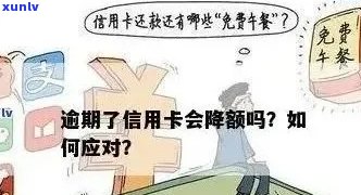 信用卡贷款逾期利息高吗？如何计算及降低逾期利息影响？