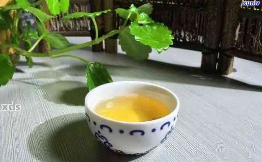 普洱茶饮用时间：早晨还是夜晚？