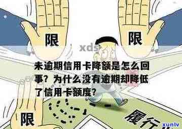 信用卡逾期未被降额的奥秘：深度解析信用额度调整机制与影响因素