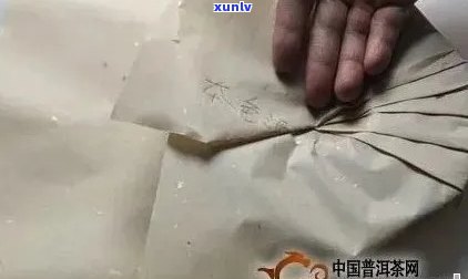 普洱茶包装材料中的纸和笋叶：它们之间的区别与特性探究