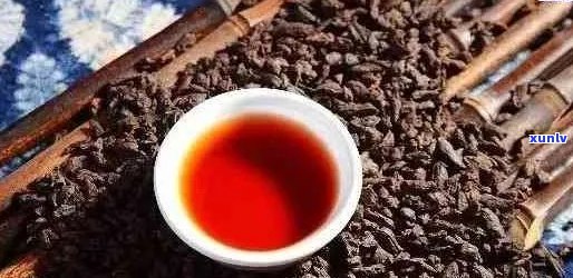 熟普洱茶闻起来有什么味：探寻其独特的香气