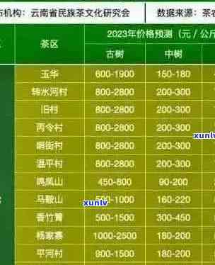 全面了解普洱茶价格：正品普洱茶种类、产地、年份及市场行情一应俱全