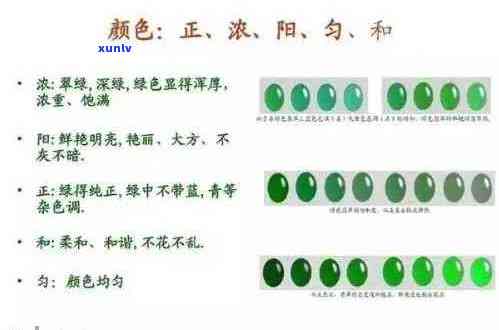 如何选择翡翠：颜色、种水以及判断质量的 *** 全面解析