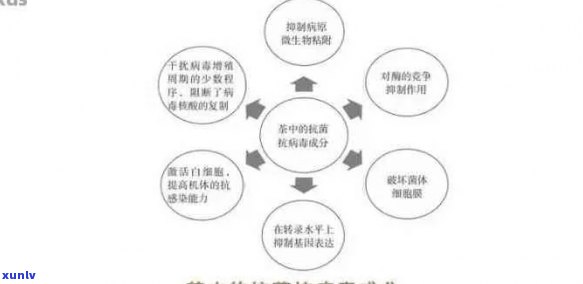 冠状病与普洱茶：科学研究显示其关联性以及预防措