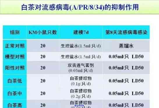 冠状病与普洱茶：科学研究显示其关联性以及预防措