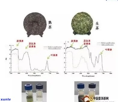 普洱茶化学成分对人体健的潜在危害及其预防措