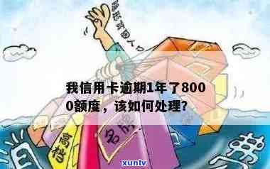 信用卡逾期总额80万什么意思：2020年信用卡逾期1年8000额度，如何处理？