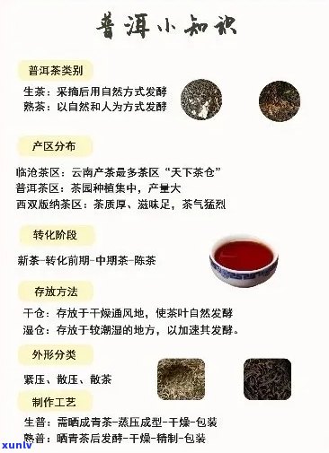 普洱茶的哪几部分组成？