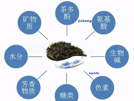 普洱茶的哪几部分组成？