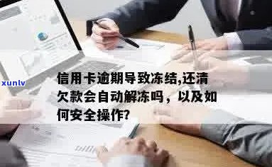 新 车贷逾期后解冻与否的策略：还清款项后，是否需要立即解冻信用额度？