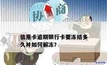 车贷信用卡逾期冻结解冻全攻略：逾期还款与银行卡解冻步骤详解