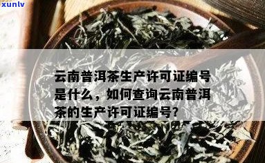 普洱茶生可证号怎么查： 查询 *** 与相关信息