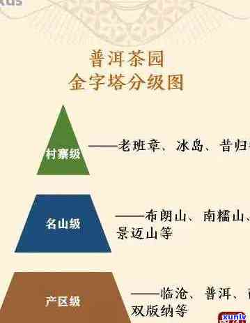 勐库氏普洱茶全面排名：品质、产地、年份及口感等多方面解析