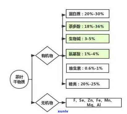 普洱茶白菌的金属成分、产物以及元素组成是什么？