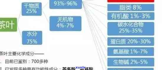 普洱茶白菌的金属成分、产物以及元素组成是什么？