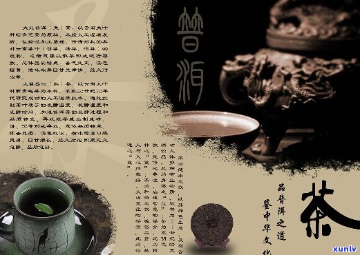 大益普洱茶文化馆：由来、简介与知识手册