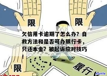 信用卡逾期罚金：原因、金额及避免措全面解析