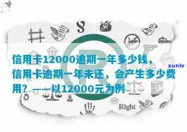 信用卡逾期一年的费用计算及解决方案，涉及12000元逾期金额的全面分析