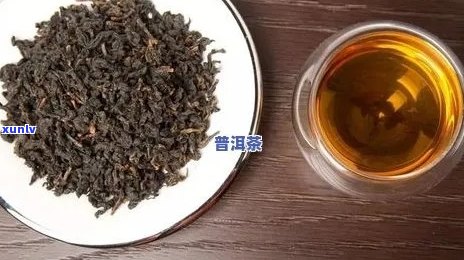 普洱茶菌叫什么名字