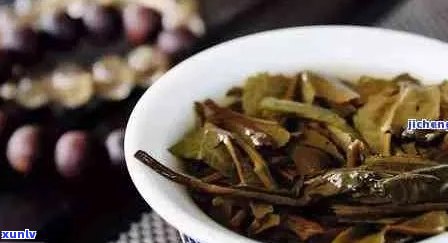 普洱茶菌叫什么名字